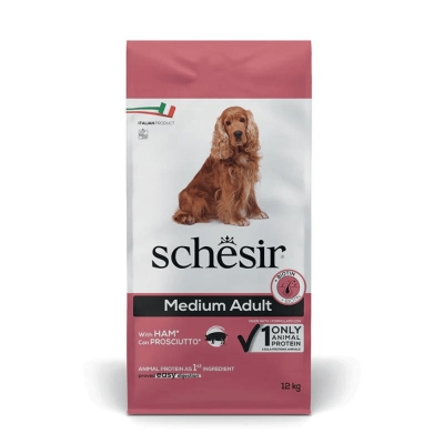 Schesir