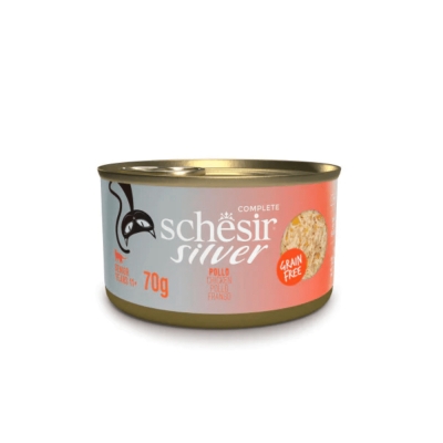 Schesir