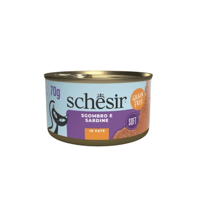Schesir