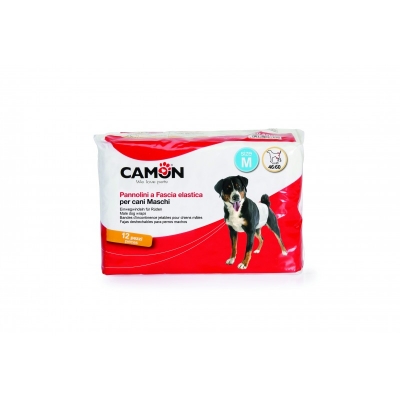 Camon