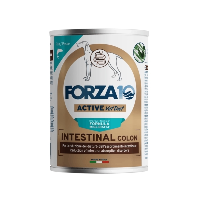 Forza10