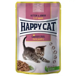 Happy Cat
