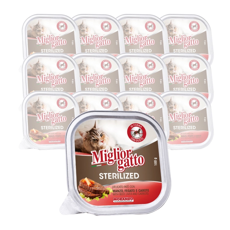 Migliorgatto