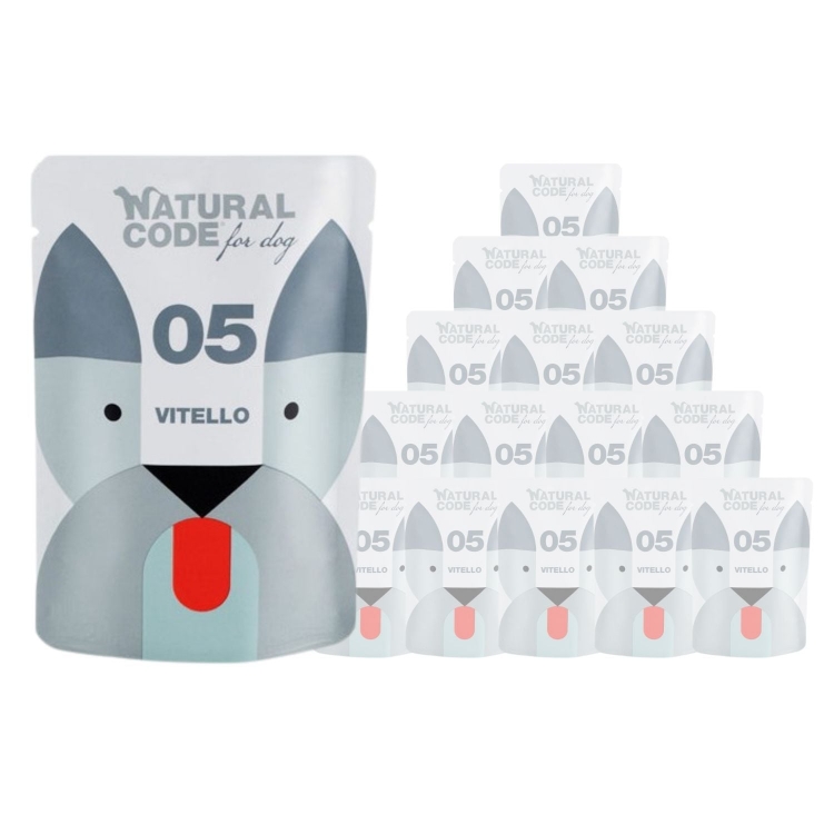 Natural Code