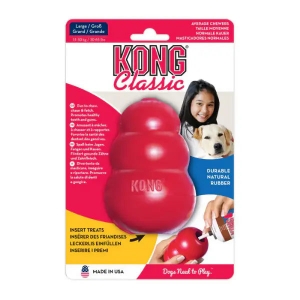Kong