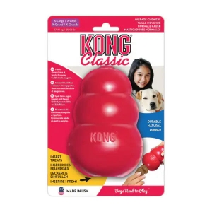 Kong