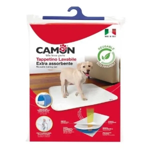Camon