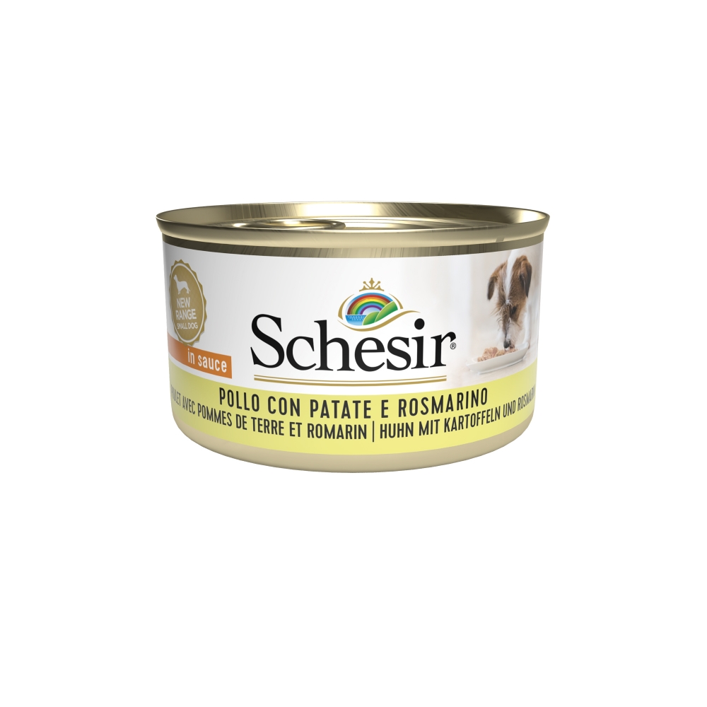 Schesir