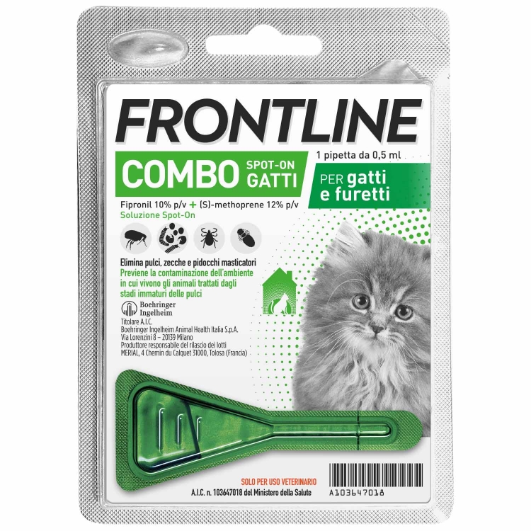 Frontline