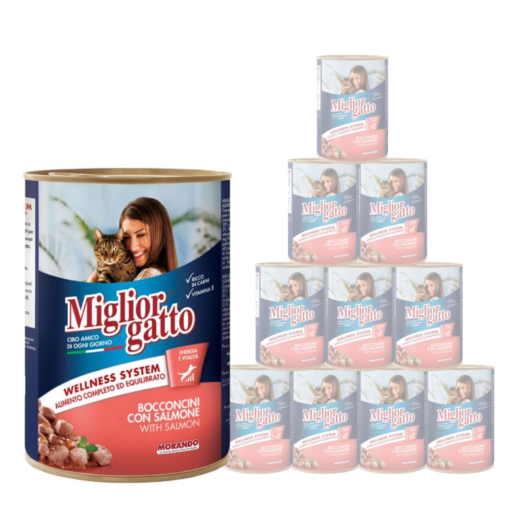 Migliorgatto