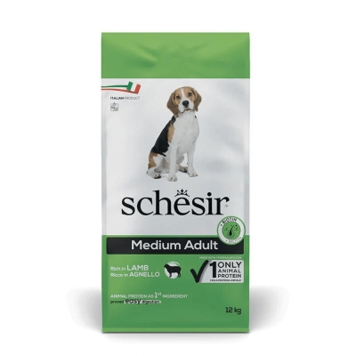 Schesir