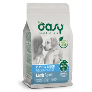 Oasy