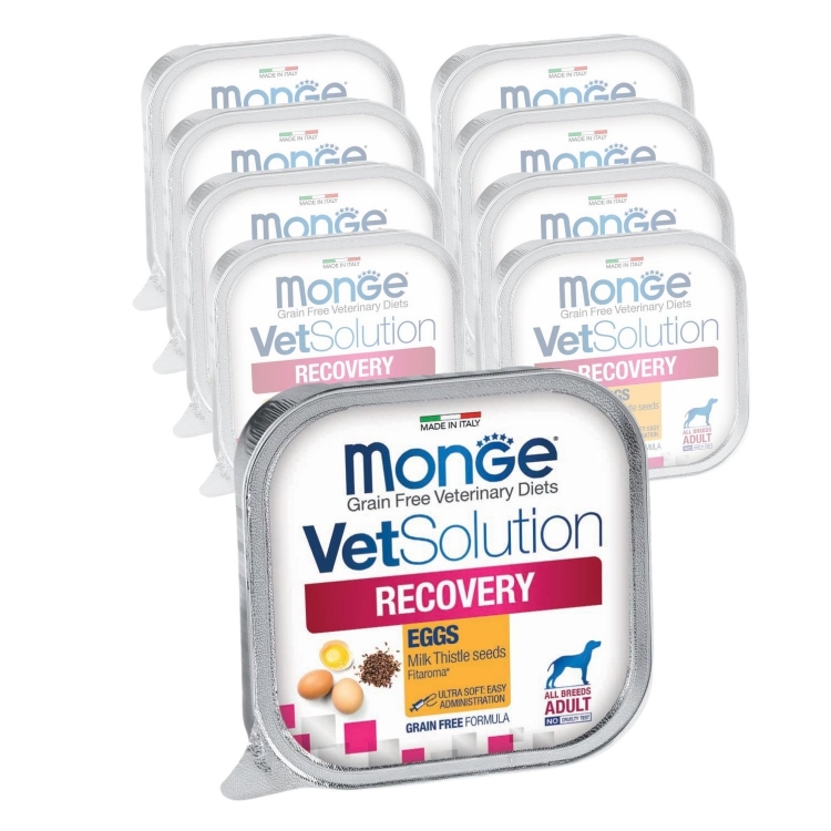 Monge VetSolution
