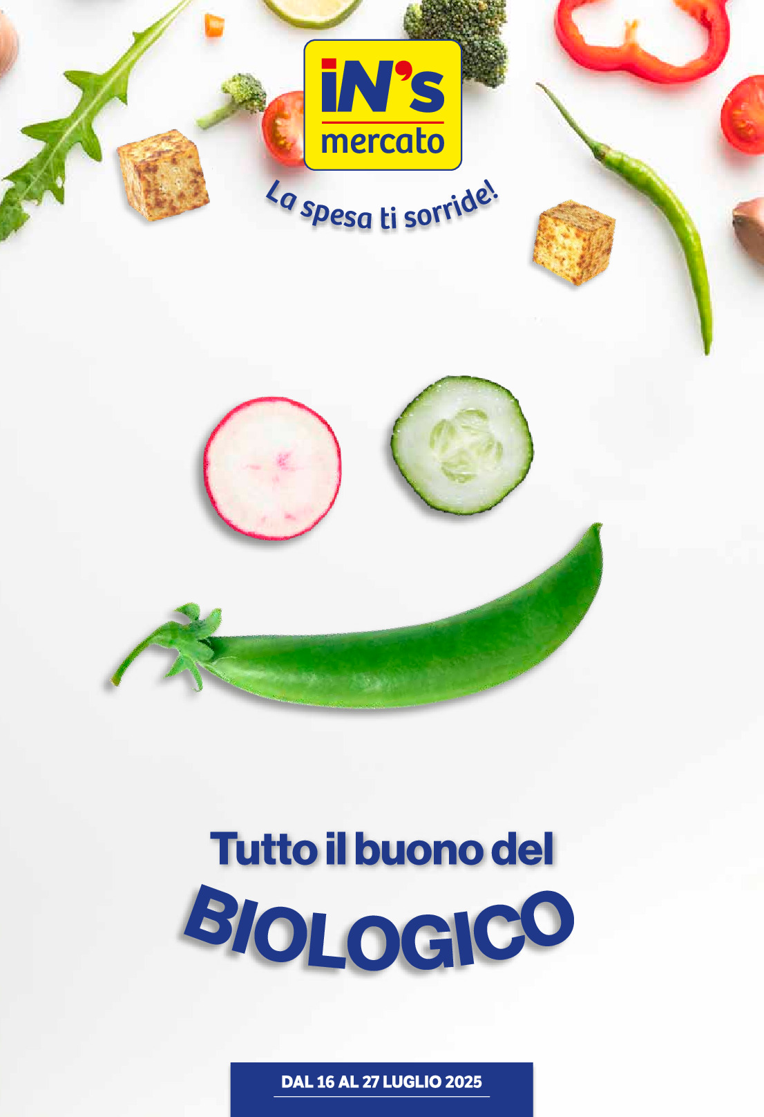 sfoglia volantino INS MERCATO