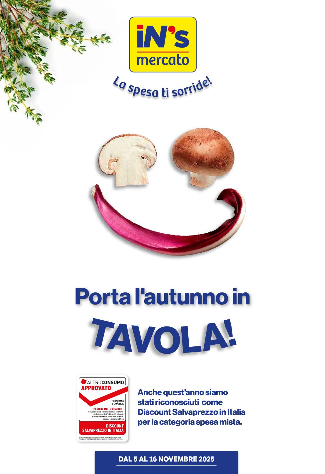 sfoglia volantino INS MERCATO